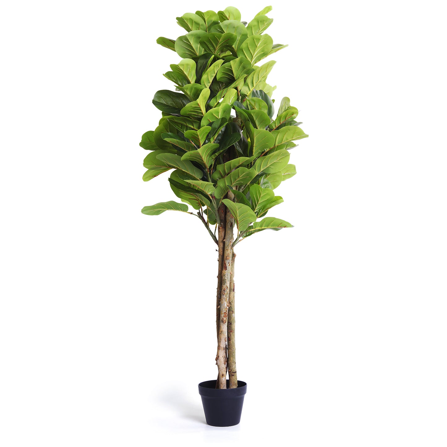 Faux Fiddle Leaf Plant