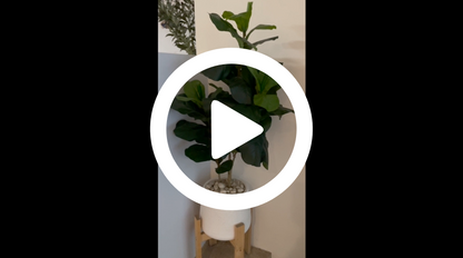Faux Fiddle Leaf Plant